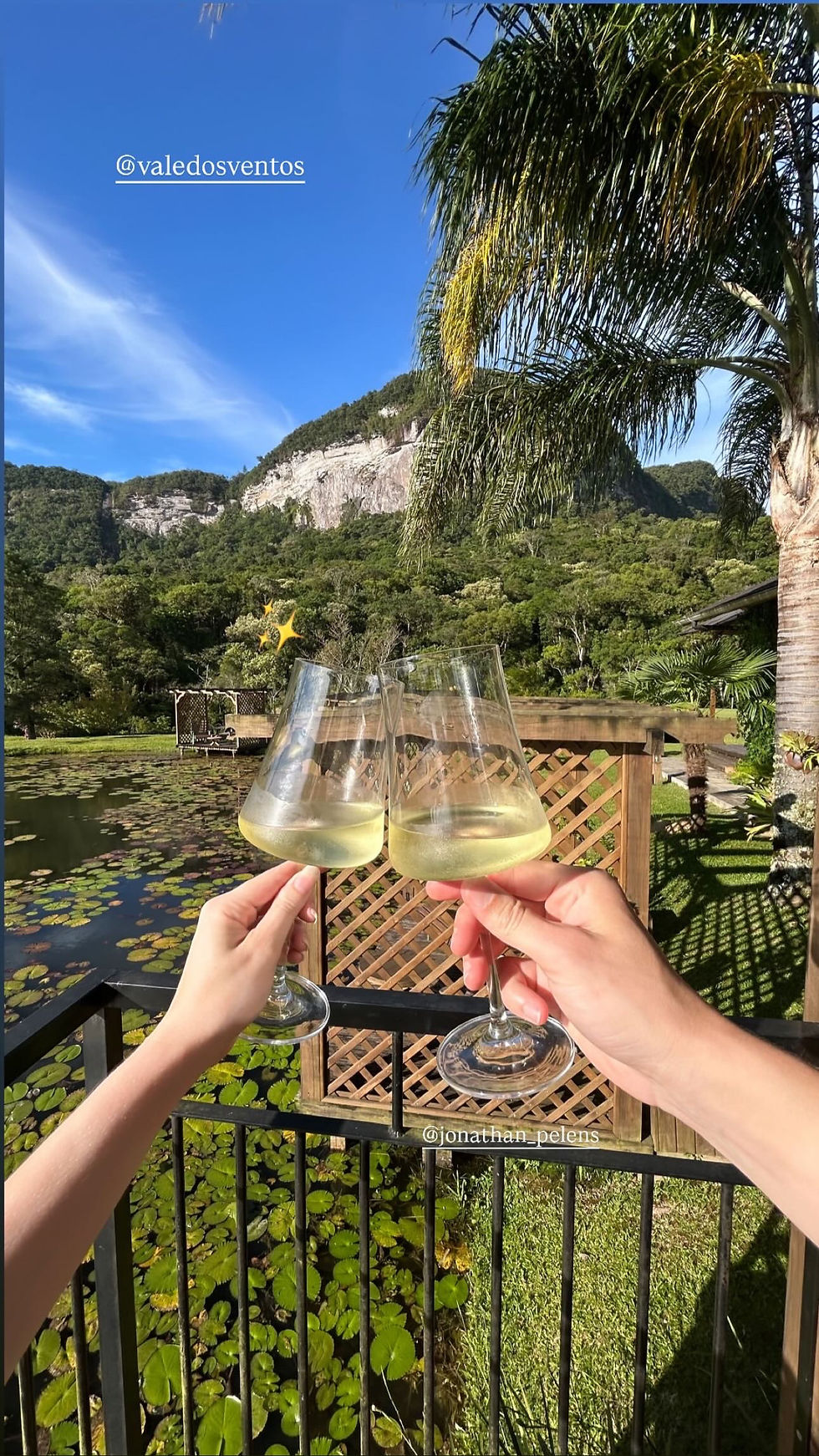 Eye-level view of a quiet forest trail with soft sunlight filtering through the trees