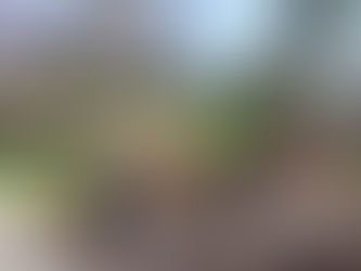 Serve as a Landscape Ambassador