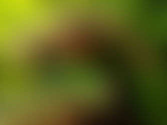 Виды драконов в литературе