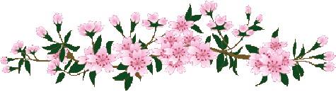 58797372.gif