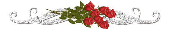 96562569.gif