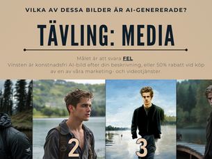 Resultat: vilken bild är AI-genererad?