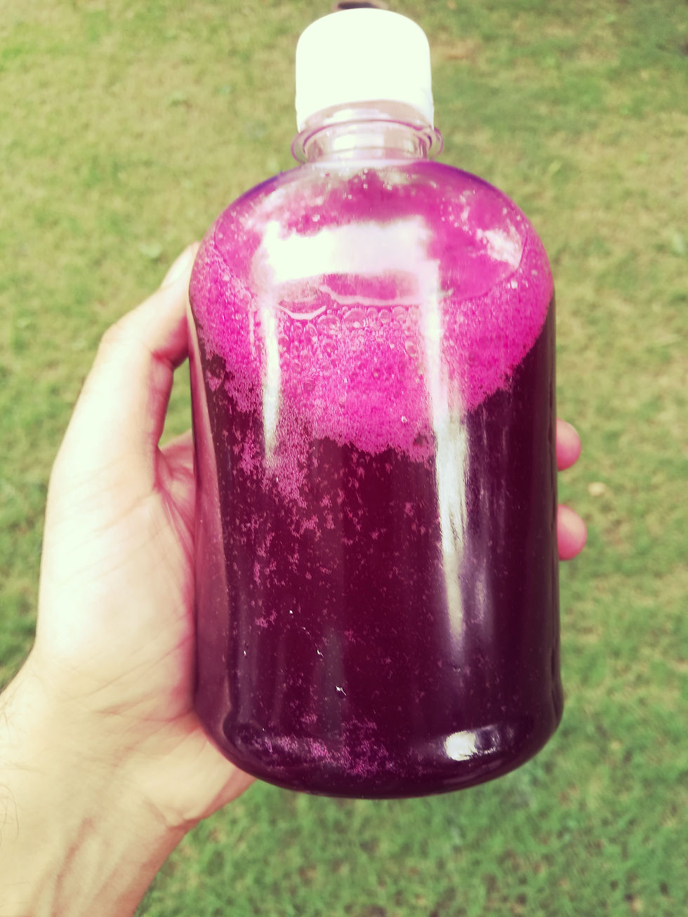 Beetroot Kvass talltree