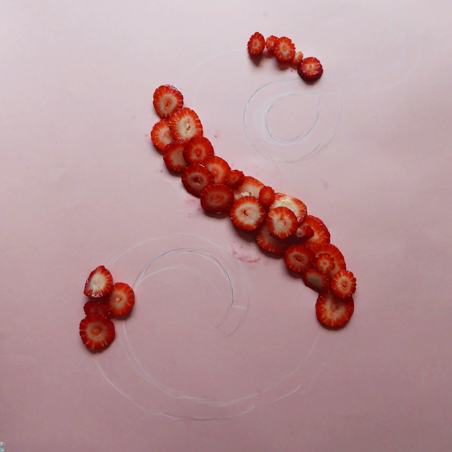 36_days_processo_strawberry.gif