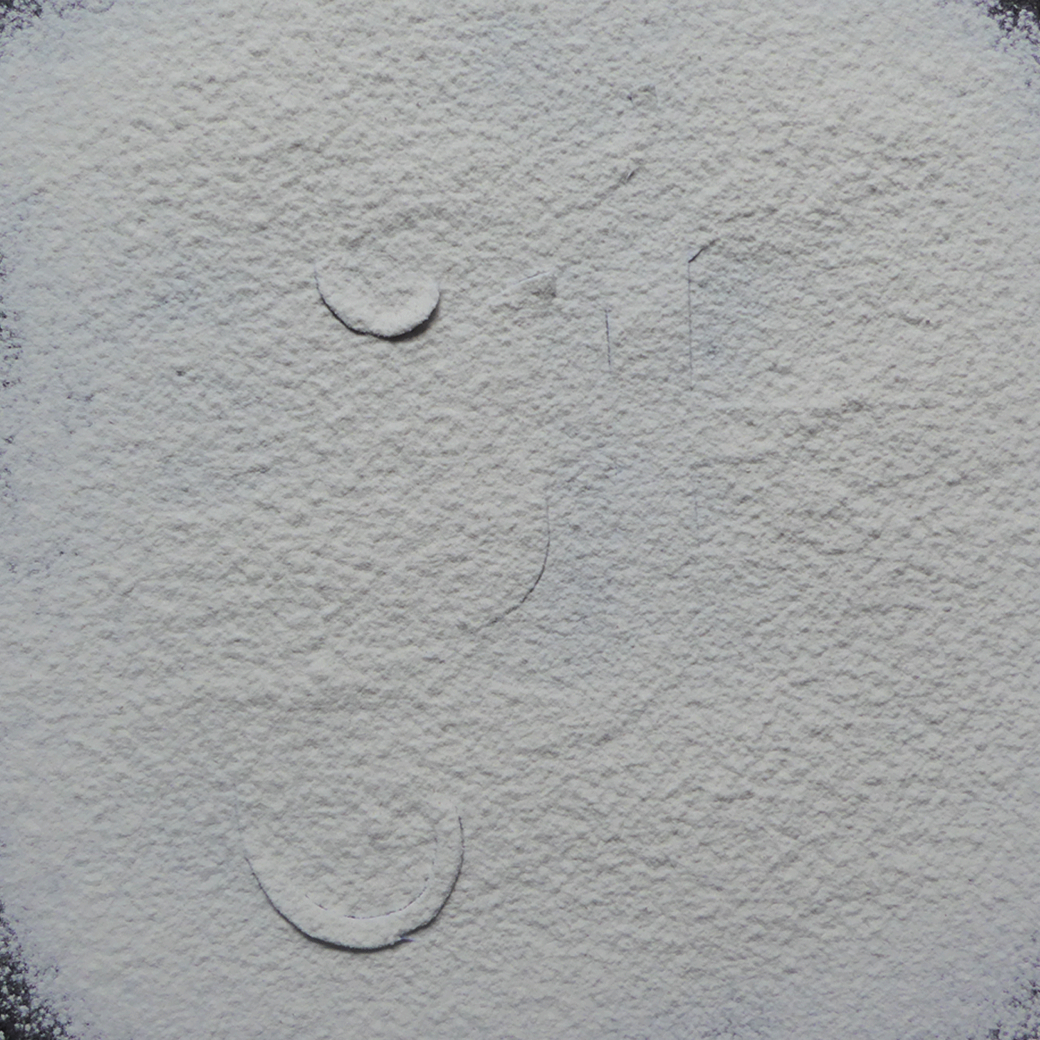 36_days_processo_flour_gif.gif