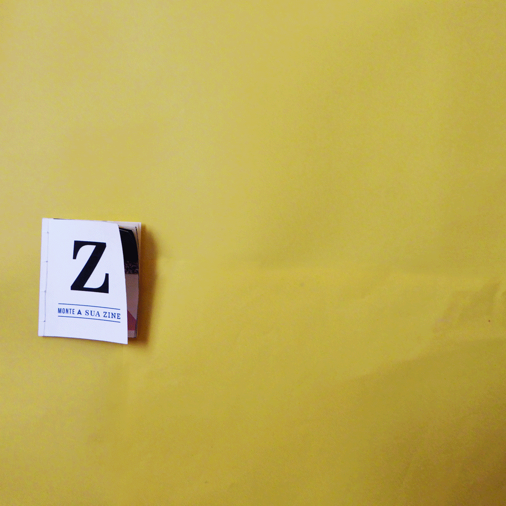 Z_anima.gif