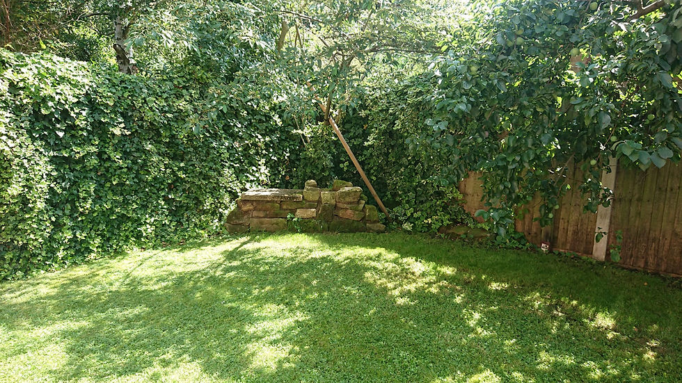 garden corner_resized.JPG