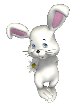 bunny-giving-flower.gif