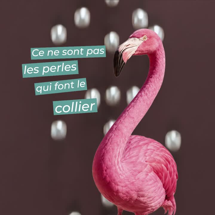 Aperçu de la vidéo : « Ce ne sont pas les perles qui font le collier, c’est le fil. »