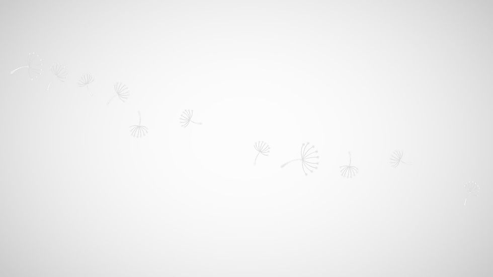 fundo_tribuna
