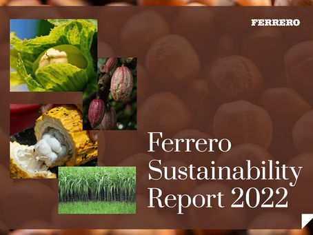 Ferrerro revela progresso significativo e descreve planos futuros