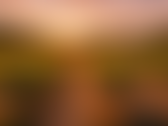 Quel est l’abattement pour les biens immobiliers en succession ?