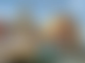 Conciergerie immobilière à Nice : services, tarifs et gestion complète avec Lemon Properties