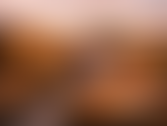 Agence immobilière locale à Draguignan