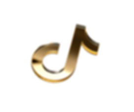 Social Media Logo |  TikTok logo | mirrored -A3110a