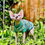 Thumbnail: Insects Cotton Knitt - Sphynx Cat Top