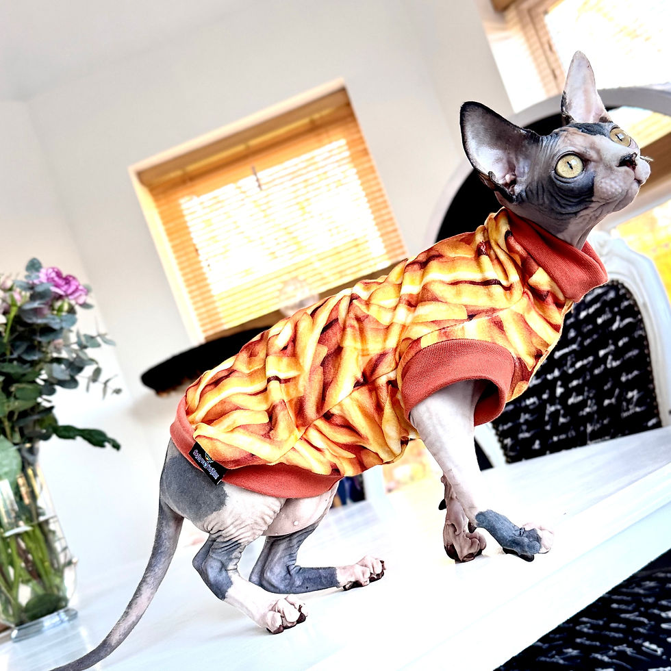 Thumbnail: Fries Extra Soft Double-sided Minky Fleece - Sphynx Cat Top