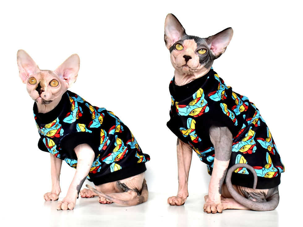 Thumbnail: SphynxFashion Logo Extra Soft Double-sided Minky Fleece - Sphynx Cat Top