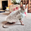 Thumbnail: Silver Turtleneck Long Hair Double-sided Fleece - Sphynx Cat Top