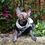Thumbnail: Camera Cotton Knit - Sphynx Cat Jumper