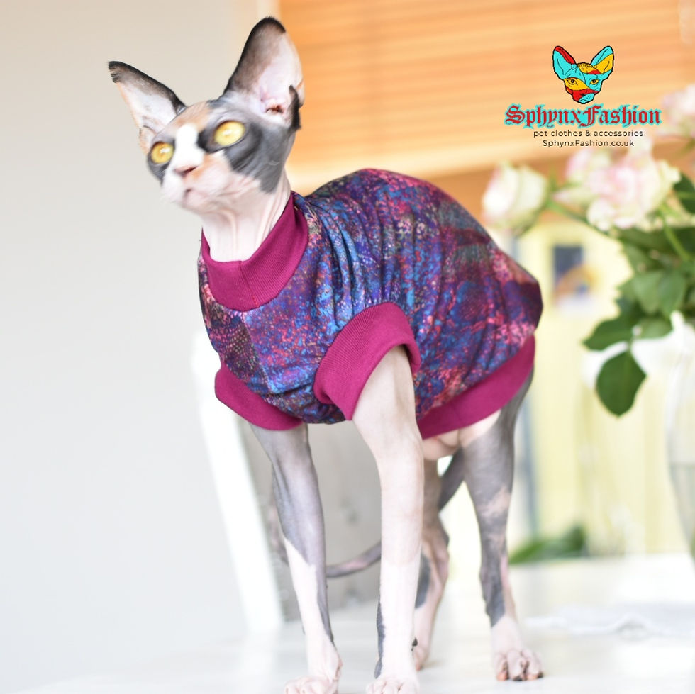 Thumbnail: Snake Skin  - Sphynx Cat Jumper Top