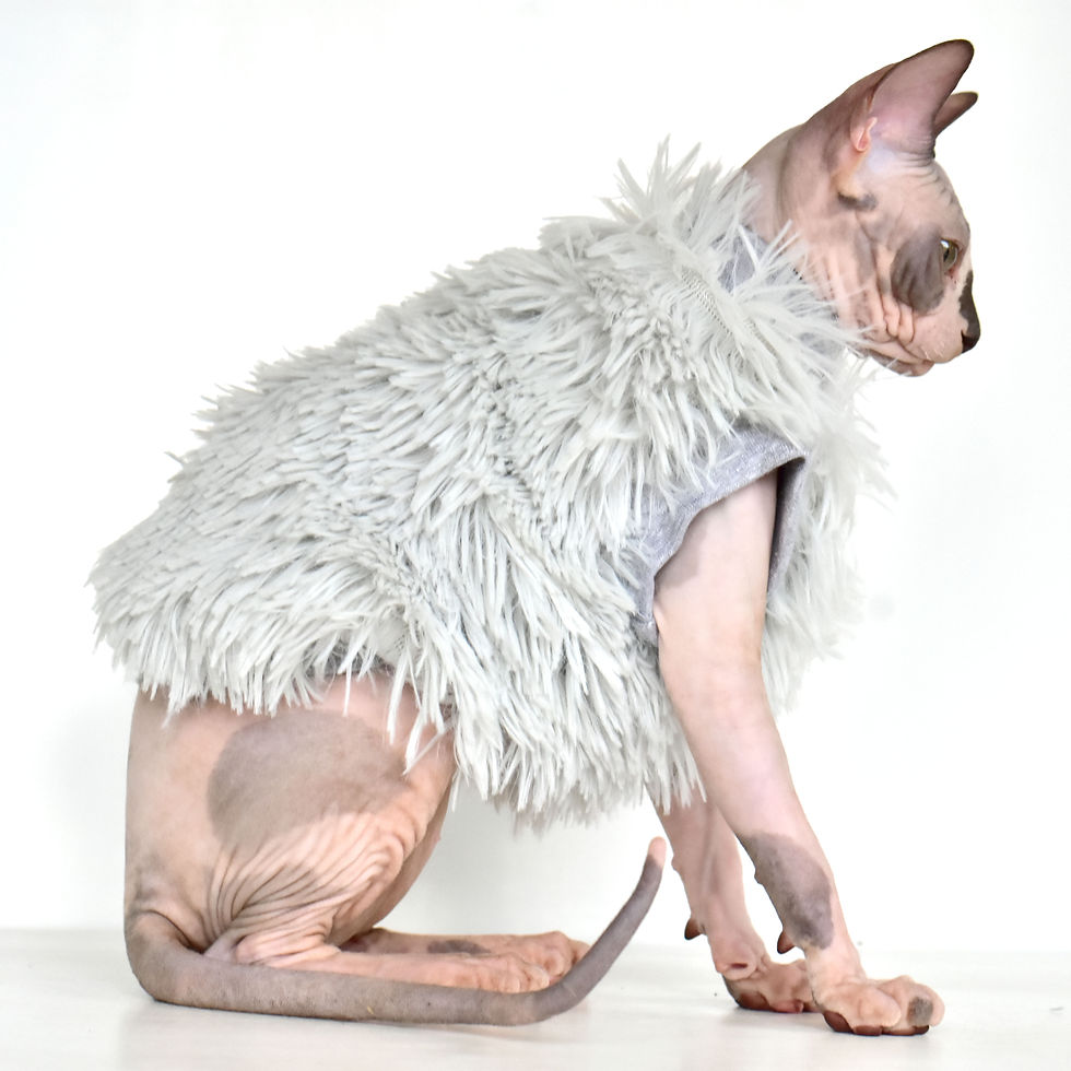 Thumbnail: Silver Long Hair Double-sided Sherpa Fleece - Sphynx Cat Top