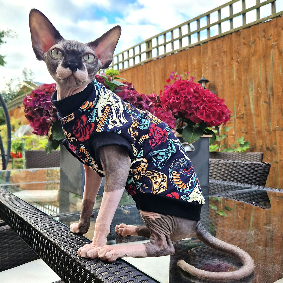 Thumbnail: Snakes, Bones  & Roses Cotton Knitt - Sphynx Cat Top