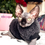 Thumbnail: Graphite Teddy Bear Double-sided Sherpa Fleece - Sphynx Cat Top