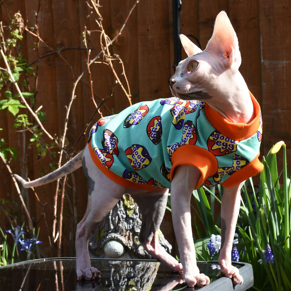 Thumbnail: Mint Good Egg Cotton Knitt - Sphynx Cat Top