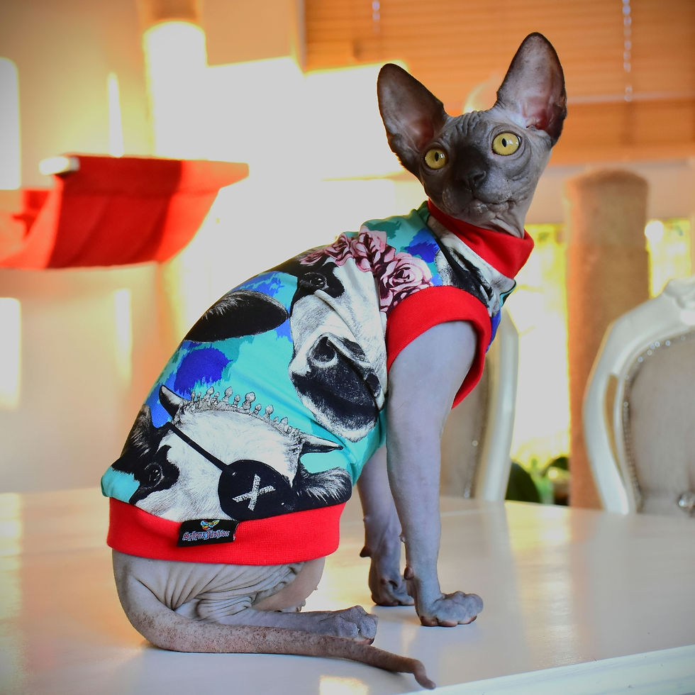 Thumbnail: Crazy Moo Cotton Knit - Sphynx Cat Top