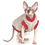 Thumbnail: Beige Teddy Bear One-sided Sherpa Fleece - Sphynx Cat Top