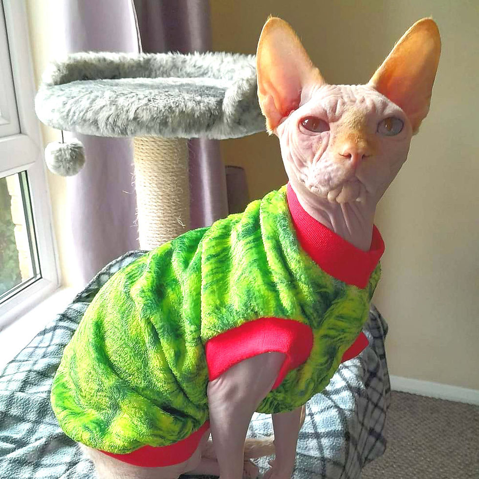 Thumbnail: Grinch Coat Extra Soft Double-sided Fleece - Sphynx Cat Top