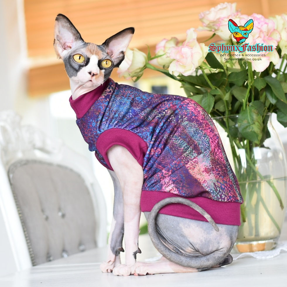 Thumbnail: Snake Skin  - Sphynx Cat Jumper Top