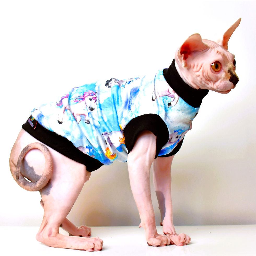 Thumbnail: Unicorn Cotton Knit- Sphynx Cat Top