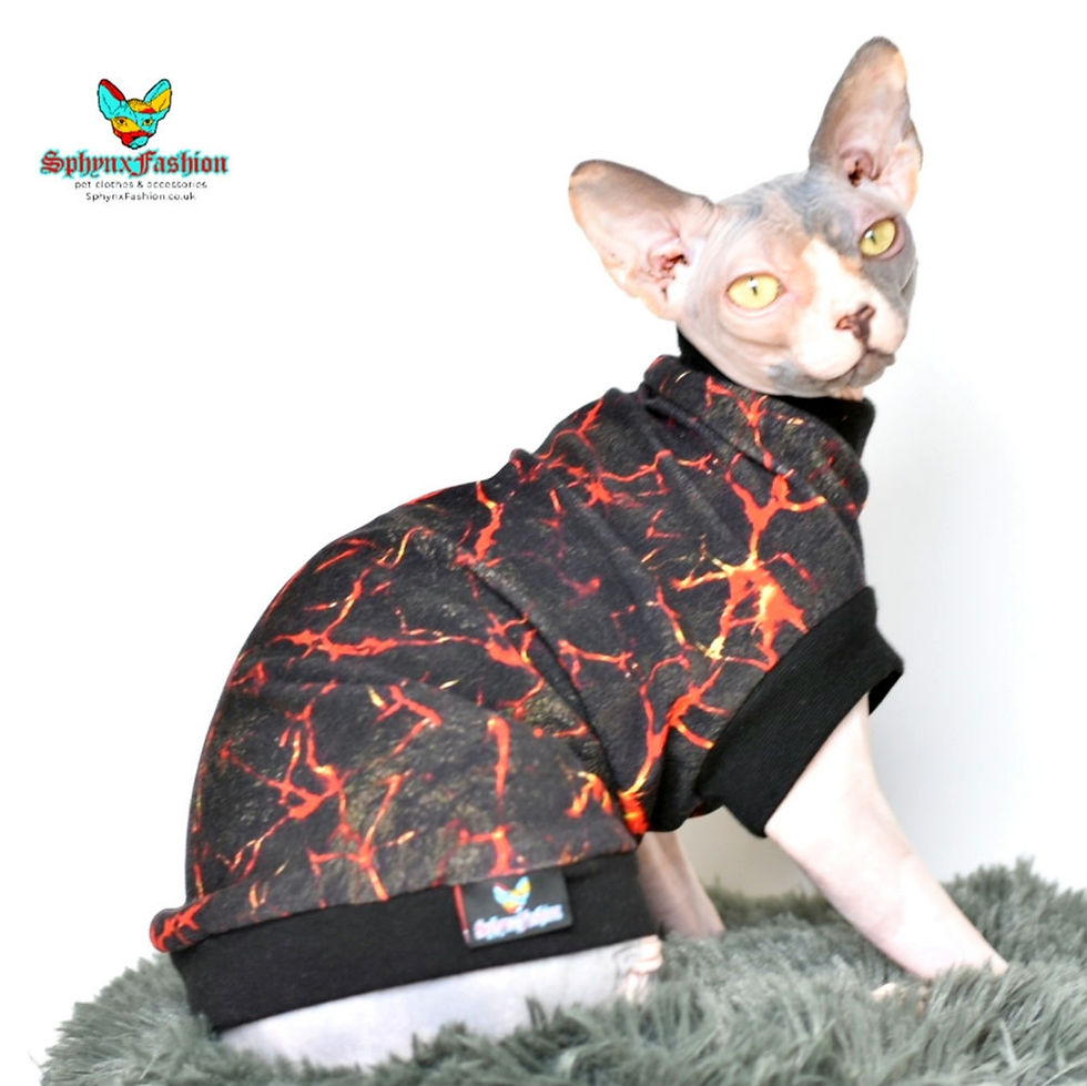 Thumbnail: Inferno Cotton Knit - Sphynx Cat Jumper