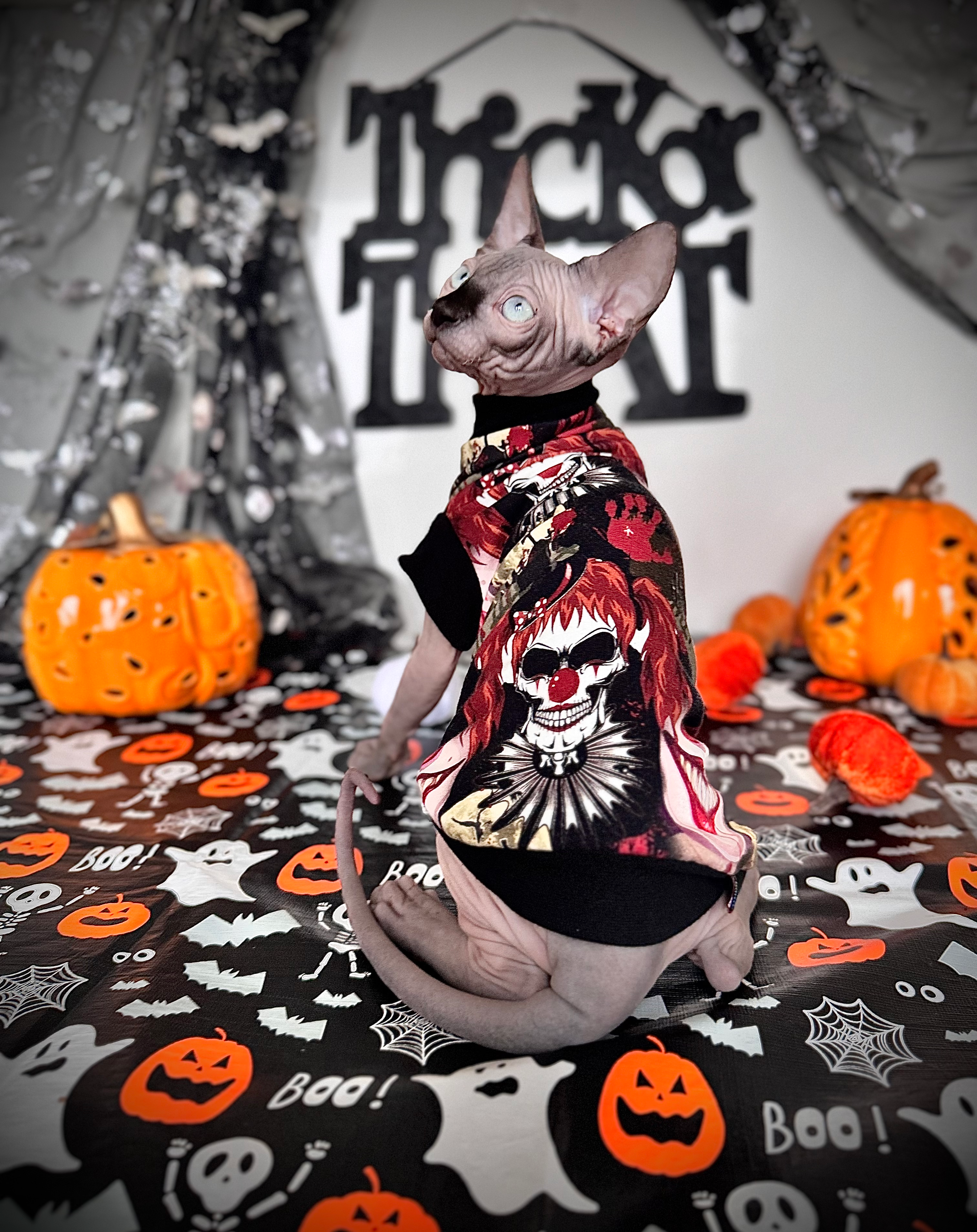 Killer Clown Cotton Knitt - Sphynx Cat Top