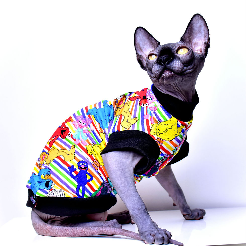 Thumbnail: Sesame Street Cotton Knit- Sphynx Cat Top