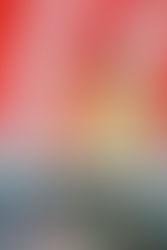 2024.04.07🌸春の一日　後編🌸