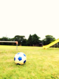 新規ご入会いただきました