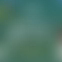 2022.09.25 ✨三島朝活✨