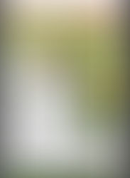 2022.07.21 🌻ひまわりらんどミニコンサート🌻