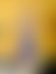 2024.08.12 ✨お休み処 みどり✨