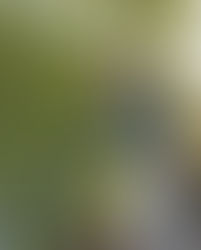 2022.02.03  なんだか楽しいね！！