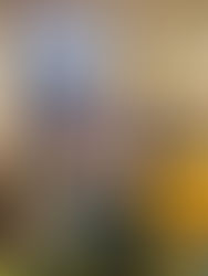 2023.11.21 ☕️FM310CAFEさん☕️