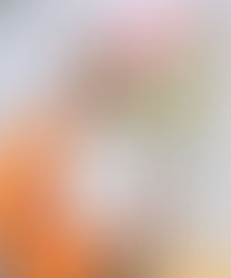 2024.01.22 🚌旅程管理主任者🚌