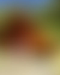 2022.07.31 🏕どはまり警報発令中🏕