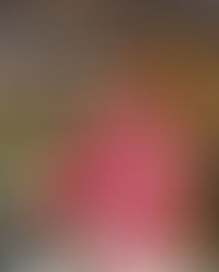 2022.08.16 🏝うみえーる長浜ビールフェスタ🏝