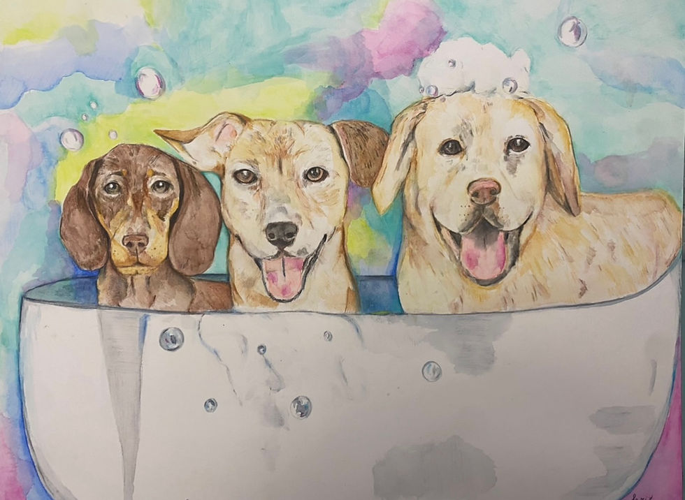 Paint Your Pet Benefitting NAIA’s Pet Rescue