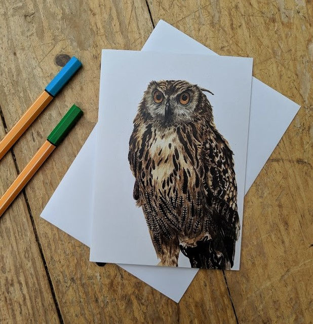 Thumbnail: Any 5 Wildlife Cards for £10.00