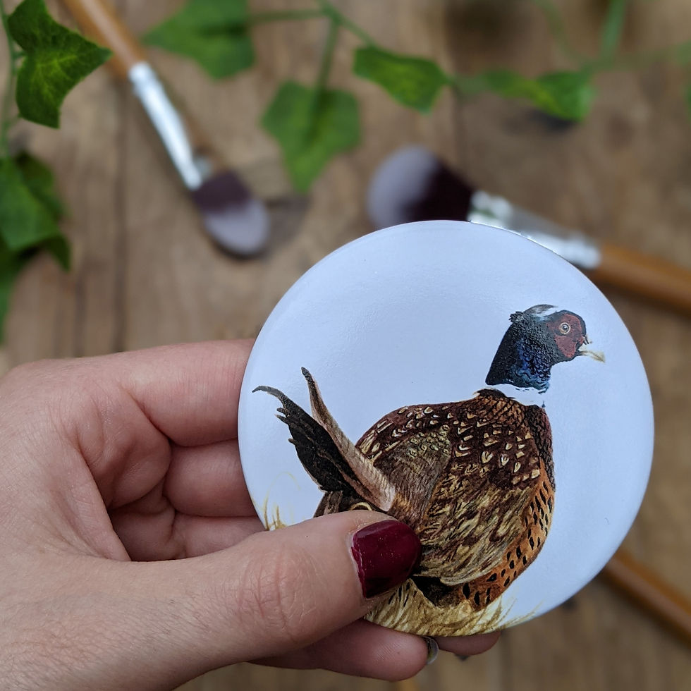 Thumbnail: Pheasant Pocket Mirror